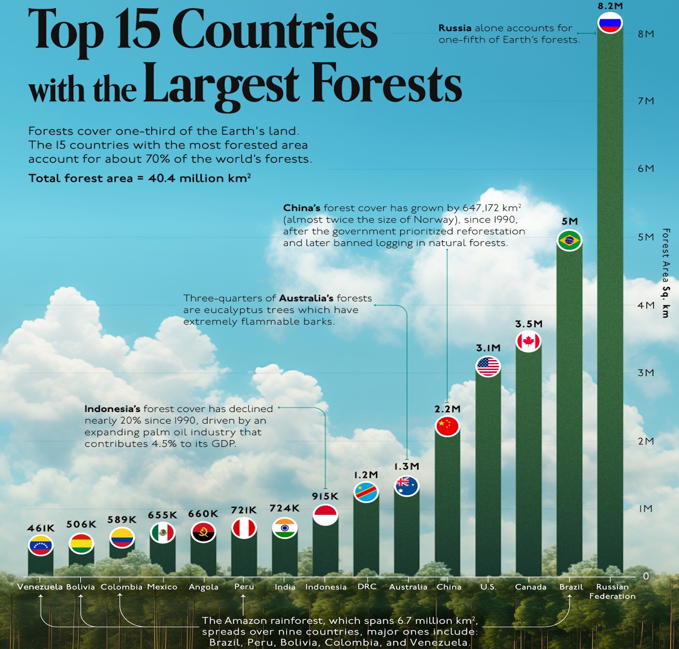 топ-15 стран с самыми большими лесами в мире